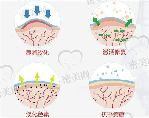 朱丽双医生怎么预约挂号？