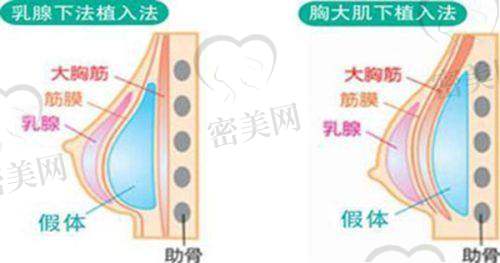 陈坦医生怎么预约挂号？