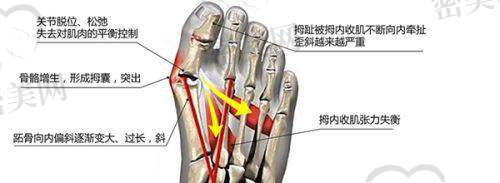 廖珉艺医生口碑怎么样？
