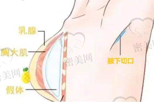 刘政医生怎么预约挂号？