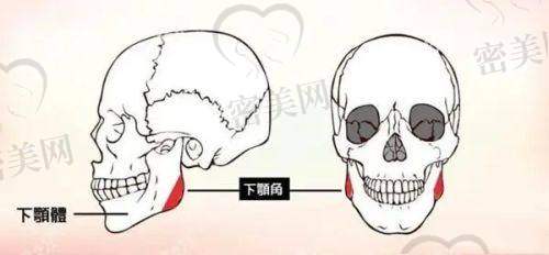 李丽医生荣誉资质：