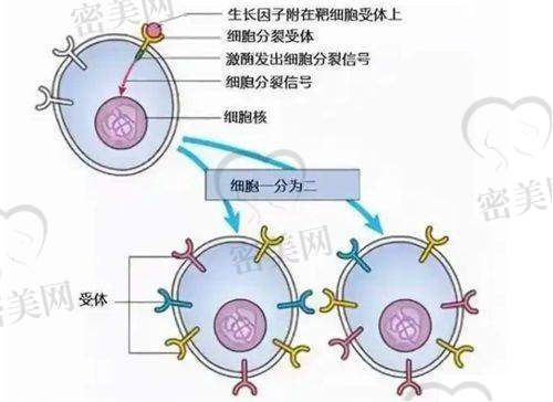 王凤医生口碑怎么样？