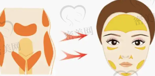 总结：变得更美从这里开始
