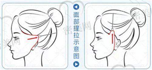 彭卫东医生怎么预约挂号？