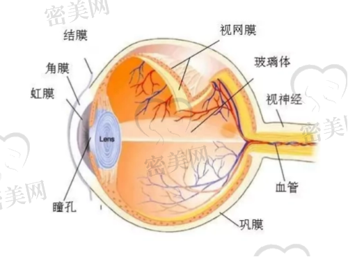 东莞爱尔眼科医院营业时间与预约方式