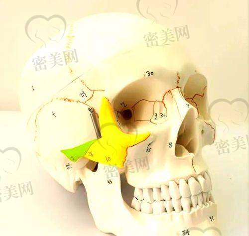 黄大勇医生：精细技术的“容貌魔法师”