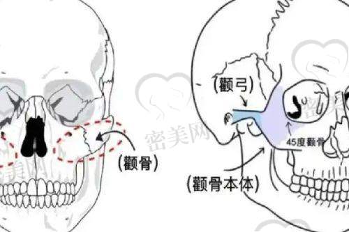 李瑞医生技术特点