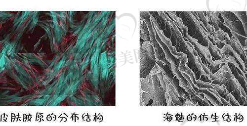李瑞医生执业信息