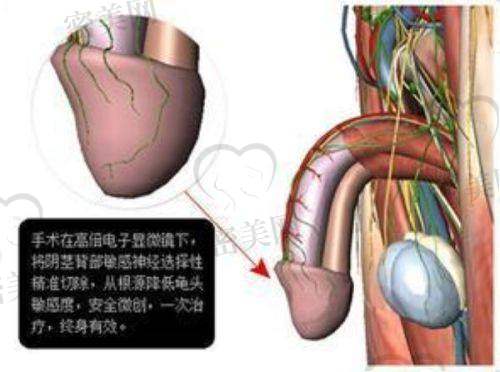 邯郸京美整形外科门诊部