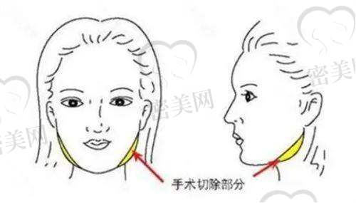 耿继龙医生执业信息：