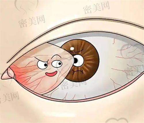 杭州明基眼科医院：数字化飞秒系统 视觉体验再升级