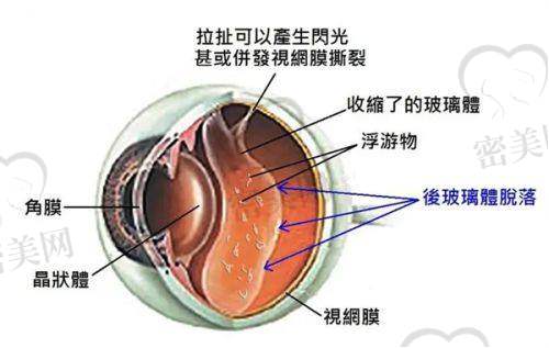 就诊当天挂号后需要准备什么?