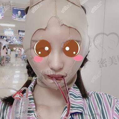 上海何晋龙擅长哪些方面？全方面揭秘