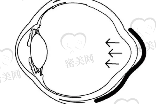 恩施美年华整形外科医院的坐诊医生团队