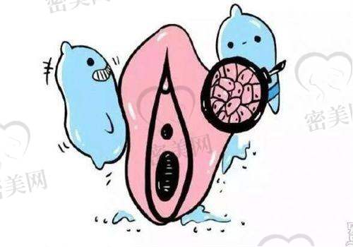 孔庆颂医生擅长项目：