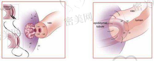 海璐医生执业信息：
