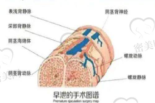 长沙爱思特医疗美容医院——“贴心变得更美小管家”