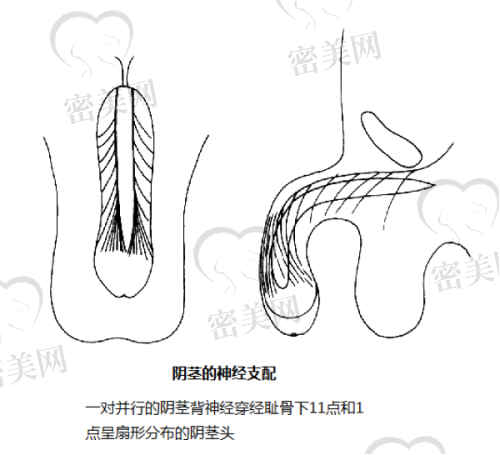 唐山美容医院排名第六：唐山美梵医疗美容门诊部