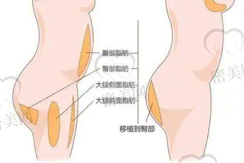路卫国医生执业信息：