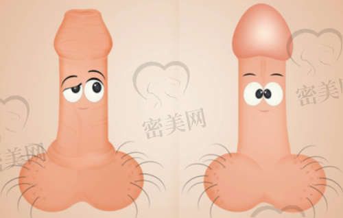 上海艺星王肖琴医生的技术优势