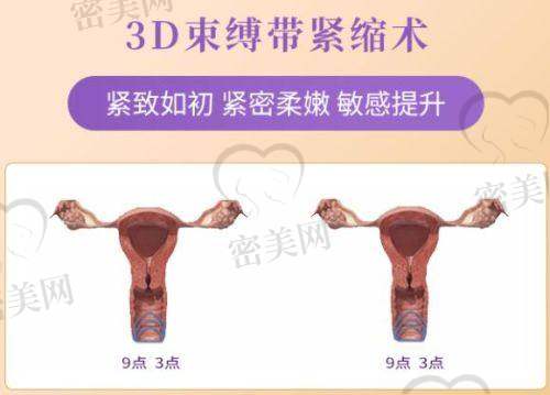 王东平执业信息：