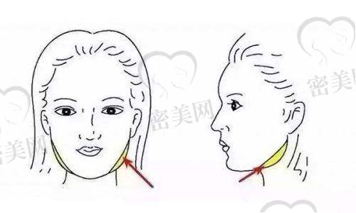 李灿灿医生荣誉资质：