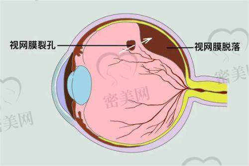 便捷预约通道多样化，不再排长龙等挂号