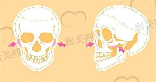 上海艺星王肖琴医生的专精能力