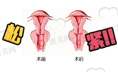 郑州美科医疗美容