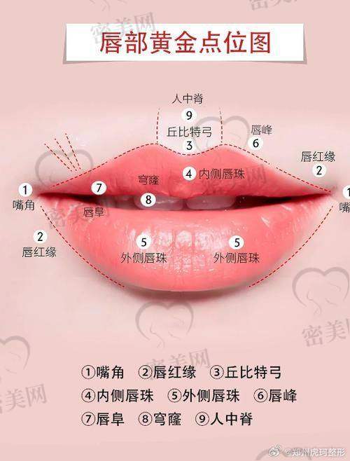 上海丽质：微笑唇项目的实力后盾