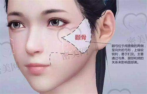张鑫萌医生荣誉资质