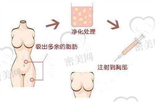 张宏医生执业信息：