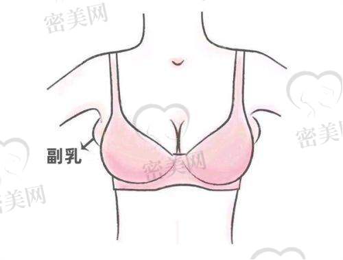 湖州曙光医疗美容门诊部电话号码：