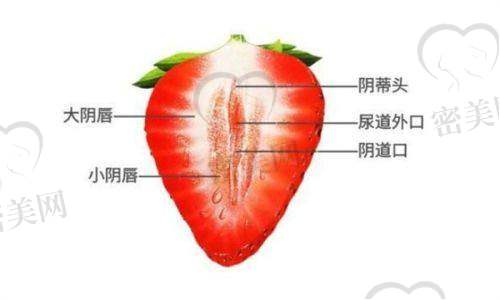 王冰医生荣誉资质：