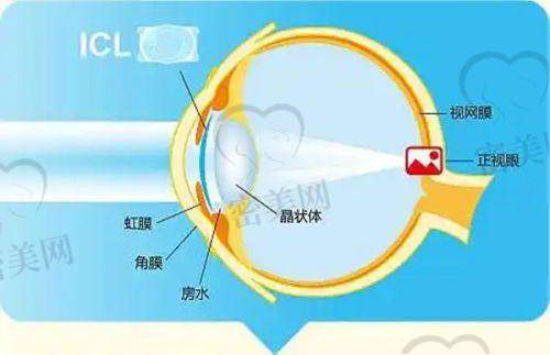 湖州曙光医疗美容门诊部怎么预约挂号？