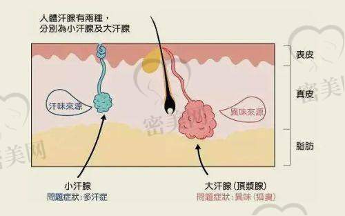长春西之米医疗美容医院