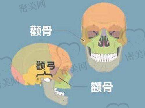 马昕医生怎么预约挂号？
