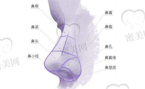 齐红艳医生荣誉资质：