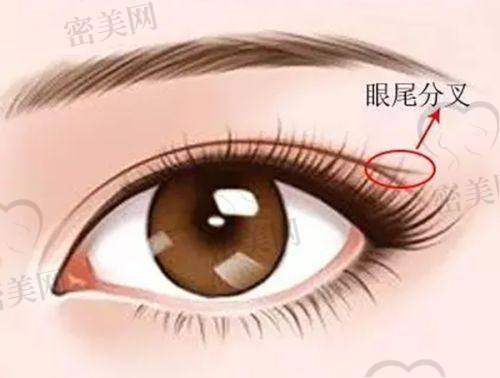 张海明口碑如何?真实评价+实例反馈一览