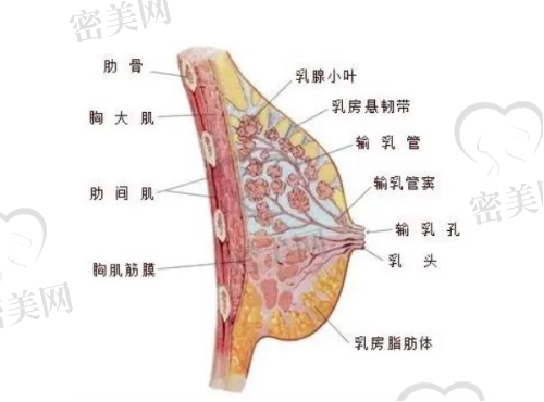 成都高新圣之隅医疗美容门诊部是正规的吗？