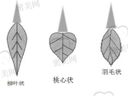 上海虹桥医院闫冬娜：口碑爆棚的秘密