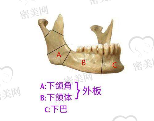 医美产品价格对比