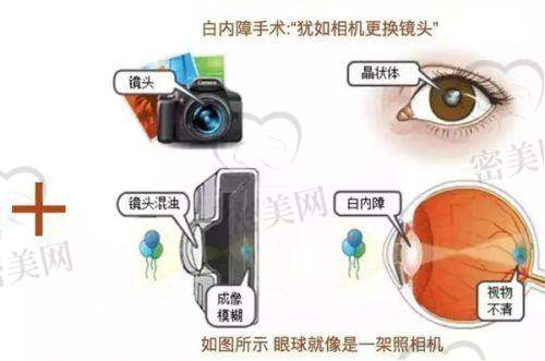 南宁华美整形医院预约方式