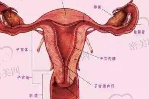 泸州橙美医疗美容诊所