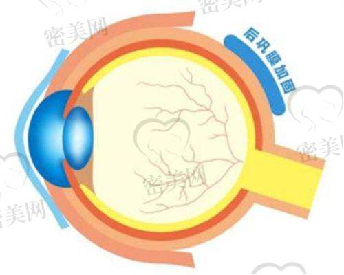 安视眼科门诊部：家庭医学路径协同干预