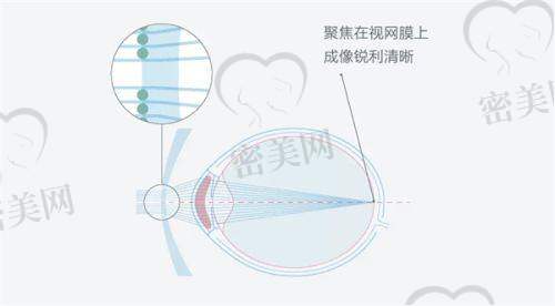 陆培荣医生口碑怎么样？