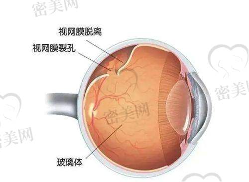 关注林瑞杰医生门诊时间与预约途径，提高就诊效率
