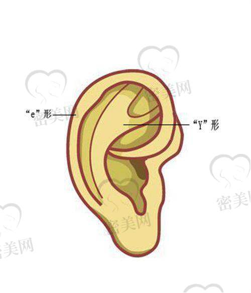 李红医生怎么预约挂号？
