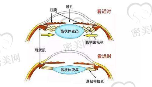 医生实力强悍:张春彦擅长吸脂塑形,兼顾脂肪填充