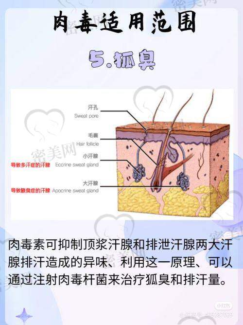 医院设备、环境配置有保护，术前术后服务细致